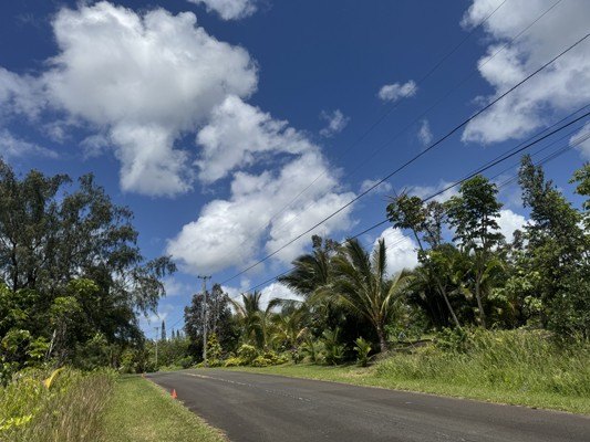 Two back to back lots in beautiful Kalapana Sea View Estates! - photo 2