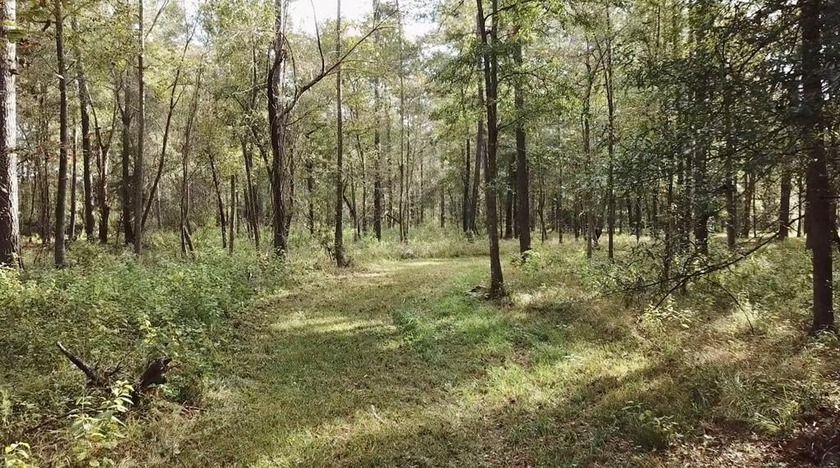If you are looking for privacy and stunning scenery, look no - photo 5