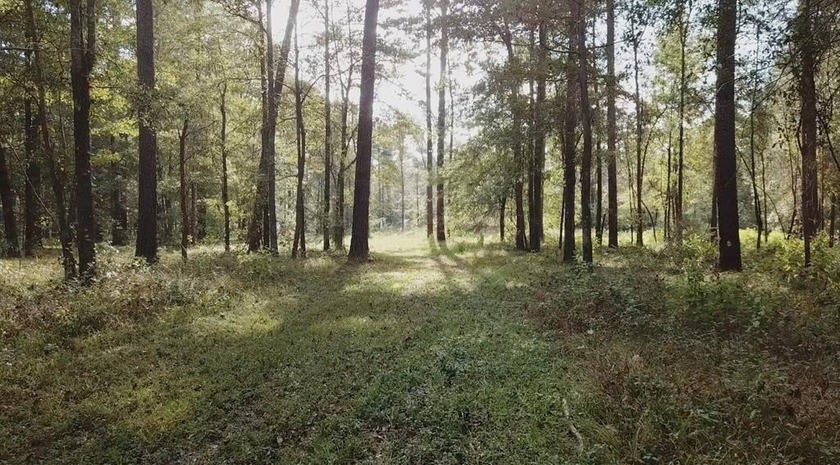 If you are looking for privacy and stunning scenery, look no - photo 7