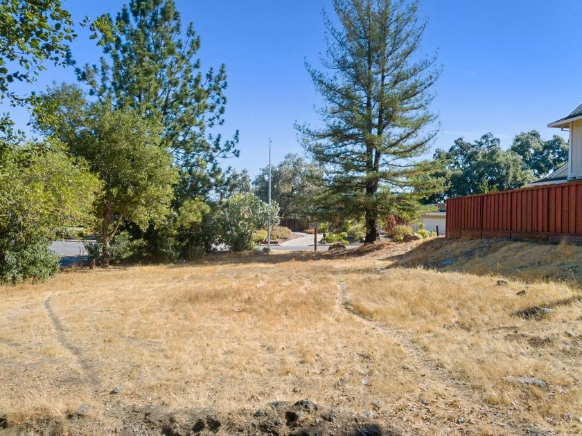Rare opportunity to build your custom dream home on a spacious 9 - photo 3