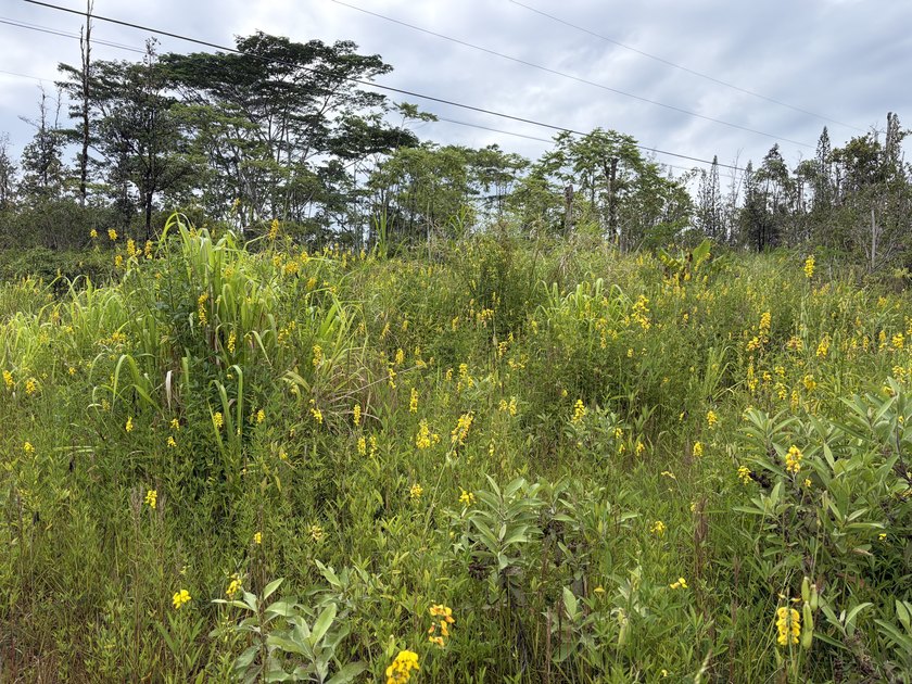 * 2 buildable acres with land graded for a future housepad, and - photo 3