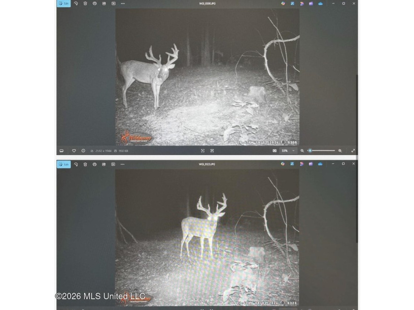 +/-288 Acres - Holmes County, MS | Prime Hunting &amp; Timber Tract - photo 14
