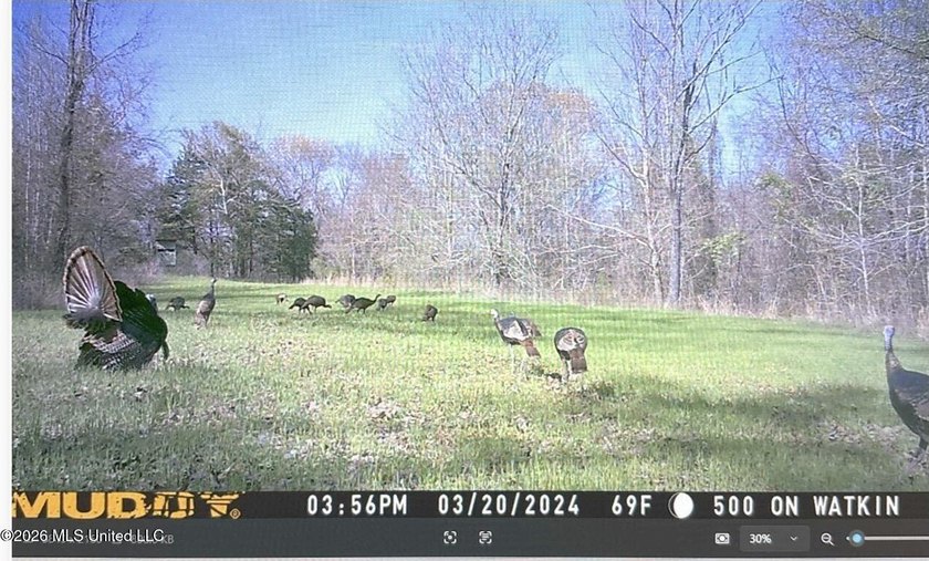 +/-288 Acres - Holmes County, MS | Prime Hunting &amp; Timber Tract - photo 22