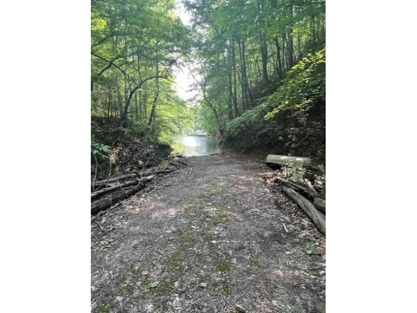 Lot 2 Calvin Cove, Almond, NC 28702, 3846221