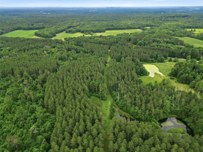 Discover the perfect escape with this incredible 90-acre wooded - photo 11