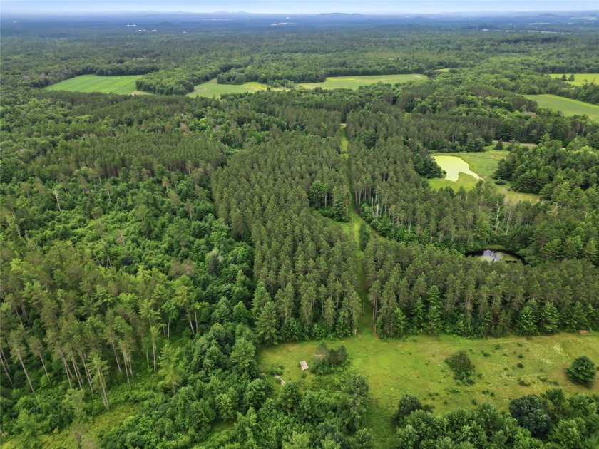Discover the perfect escape with this incredible 90-acre wooded - photo 12