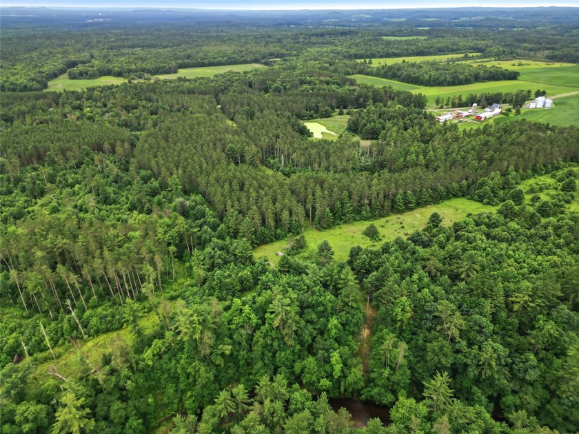 Discover the perfect escape with this incredible 90-acre wooded - photo 13