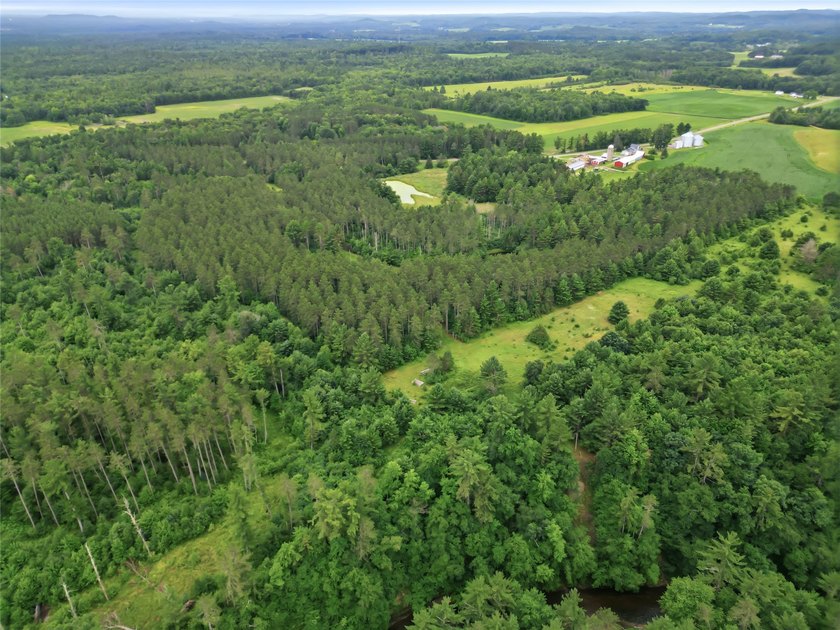 Discover the perfect escape with this incredible 90-acre wooded - photo 14