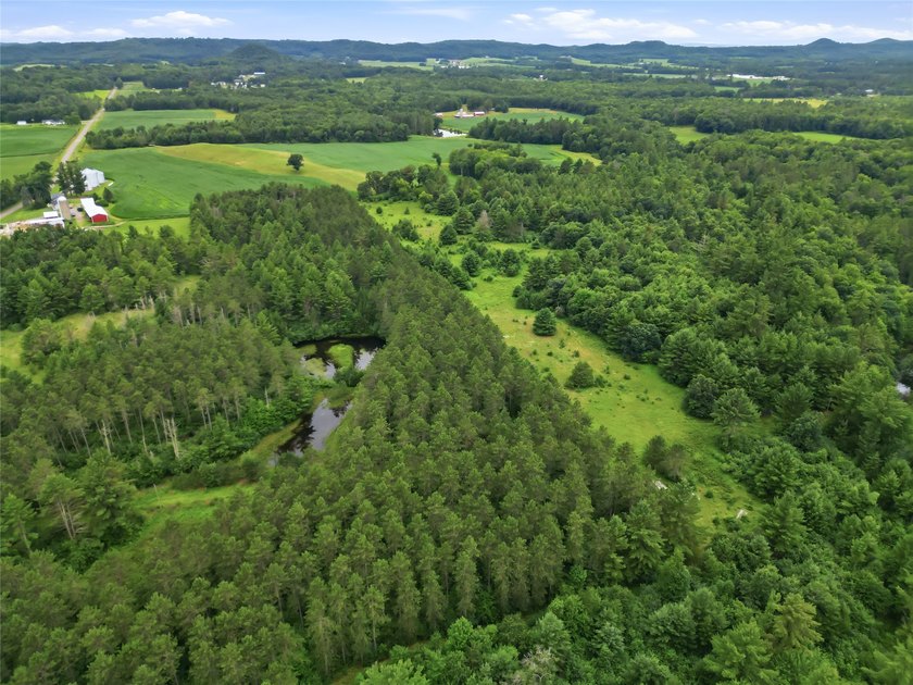 Discover the perfect escape with this incredible 90-acre wooded - photo 16