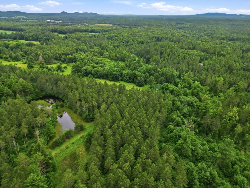 Discover the perfect escape with this incredible 90-acre wooded - photo 17
