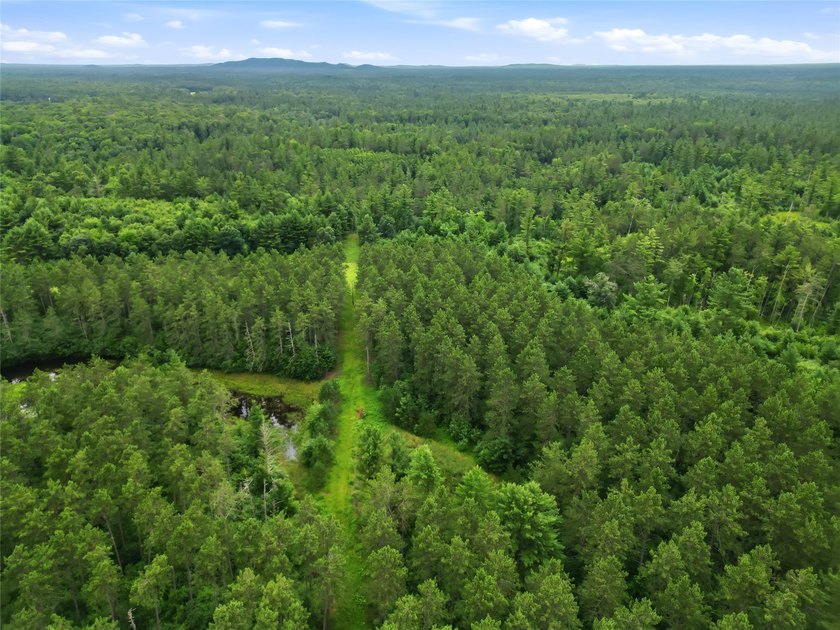 Discover the perfect escape with this incredible 90-acre wooded - photo 18