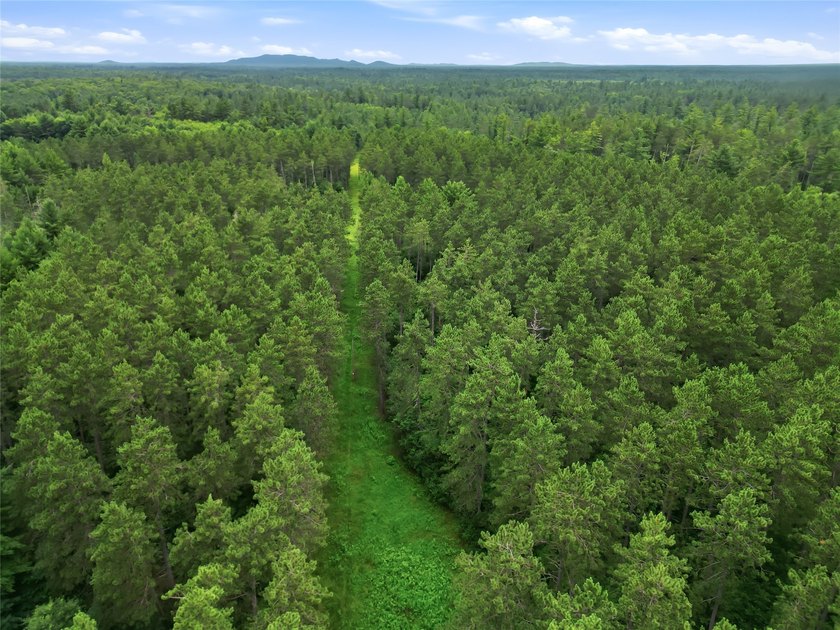 Discover the perfect escape with this incredible 90-acre wooded - photo 19