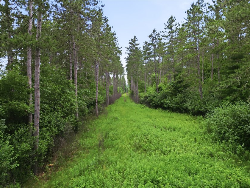 Discover the perfect escape with this incredible 90-acre wooded - photo 20