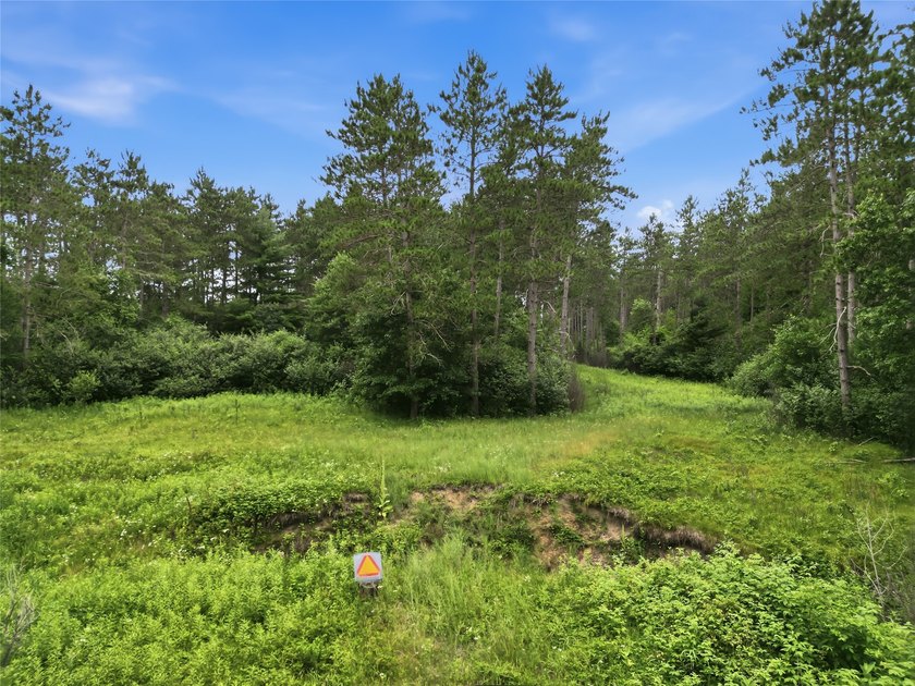 Discover the perfect escape with this incredible 90-acre wooded - photo 21
