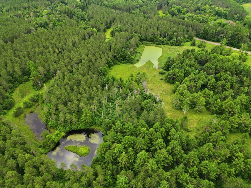 Discover the perfect escape with this incredible 90-acre wooded - photo 22