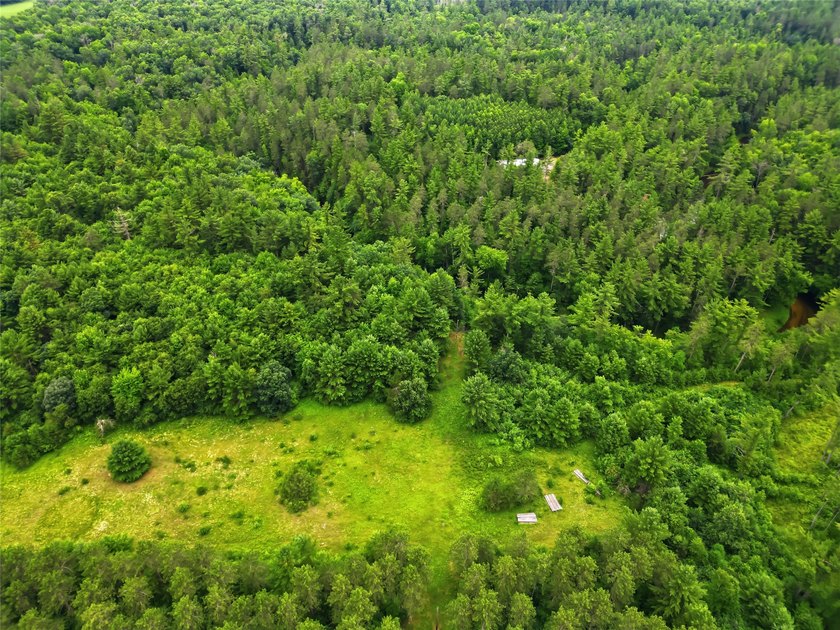 Discover the perfect escape with this incredible 90-acre wooded - photo 24
