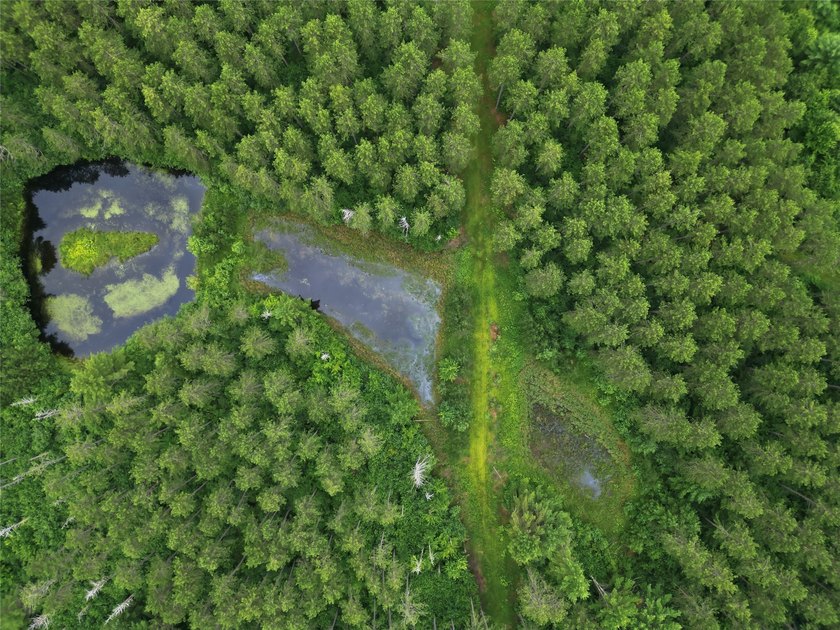 Discover the perfect escape with this incredible 90-acre wooded - photo 25