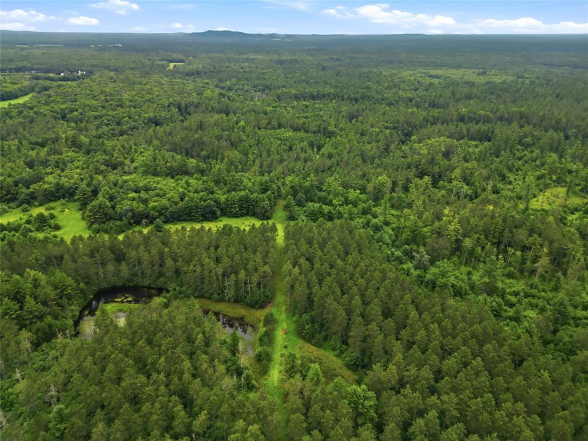 Discover the perfect escape with this incredible 90-acre wooded - photo 26