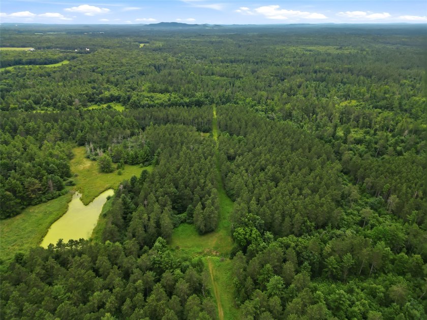Discover the perfect escape with this incredible 90-acre wooded - photo 27