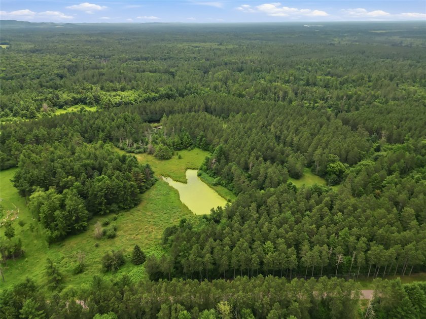 Discover the perfect escape with this incredible 90-acre wooded - photo 29