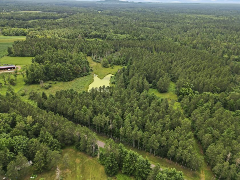 Discover the perfect escape with this incredible 90-acre wooded - photo 30