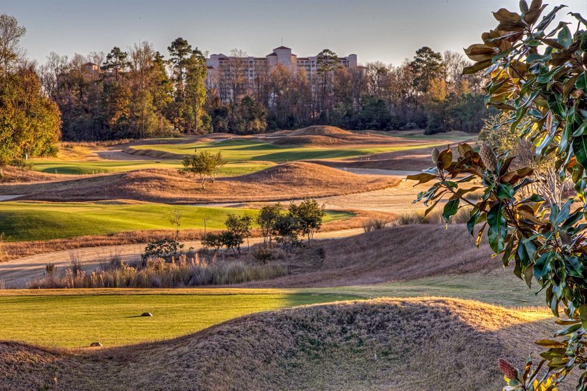 LOW HOA for Gated Golf course view at Barefoot Resort Getaway - photo 31