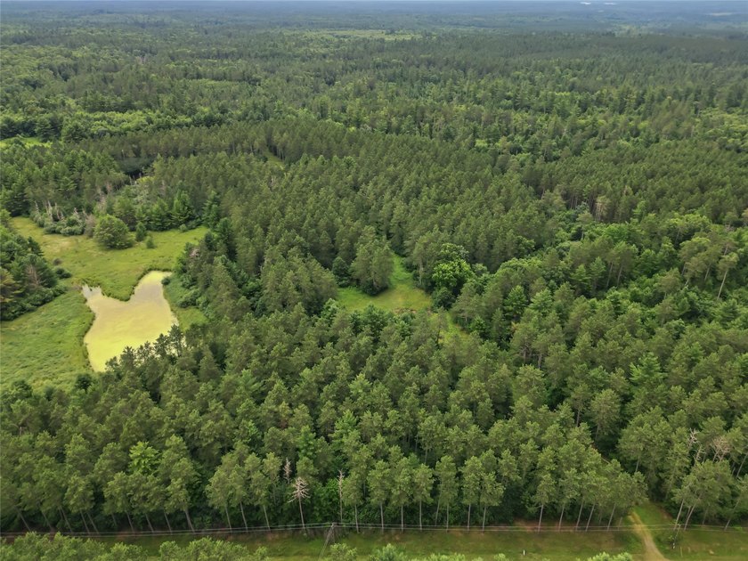 Discover the perfect escape with this incredible 90-acre wooded - photo 31