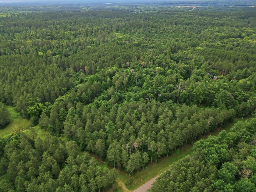 Discover the perfect escape with this incredible 90-acre wooded - photo 32