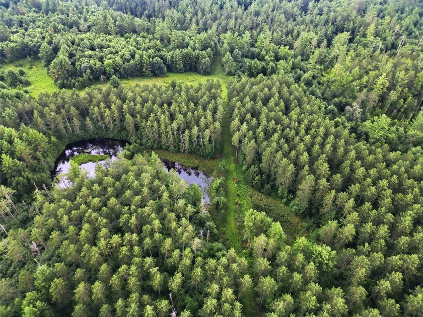 Discover the perfect escape with this incredible 90-acre wooded - photo 33
