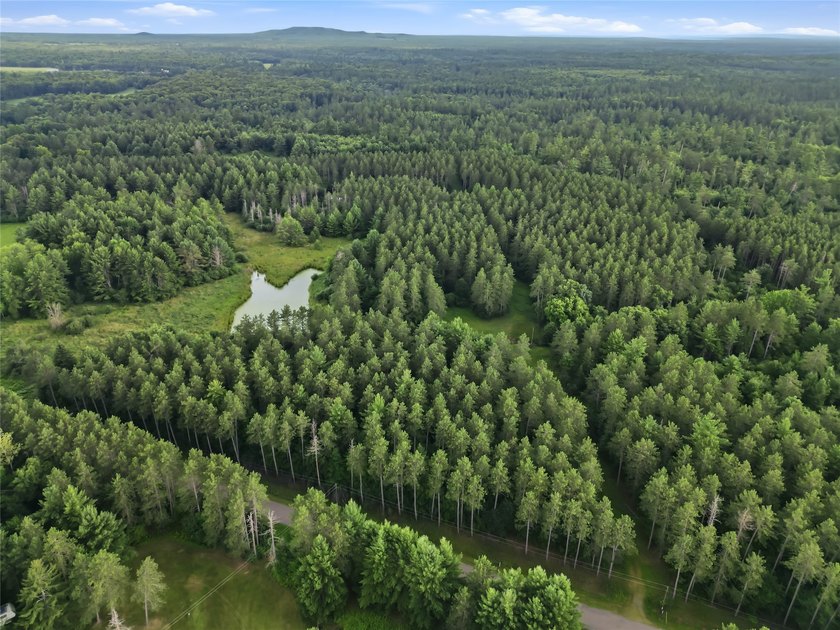 Discover the perfect escape with this incredible 90-acre wooded - photo 34