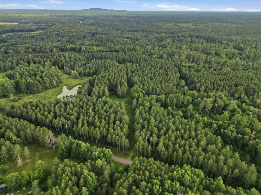Discover the perfect escape with this incredible 90-acre wooded - photo 35
