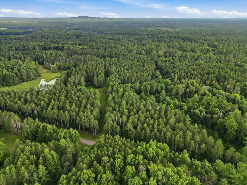 Discover the perfect escape with this incredible 90-acre wooded - photo 36
