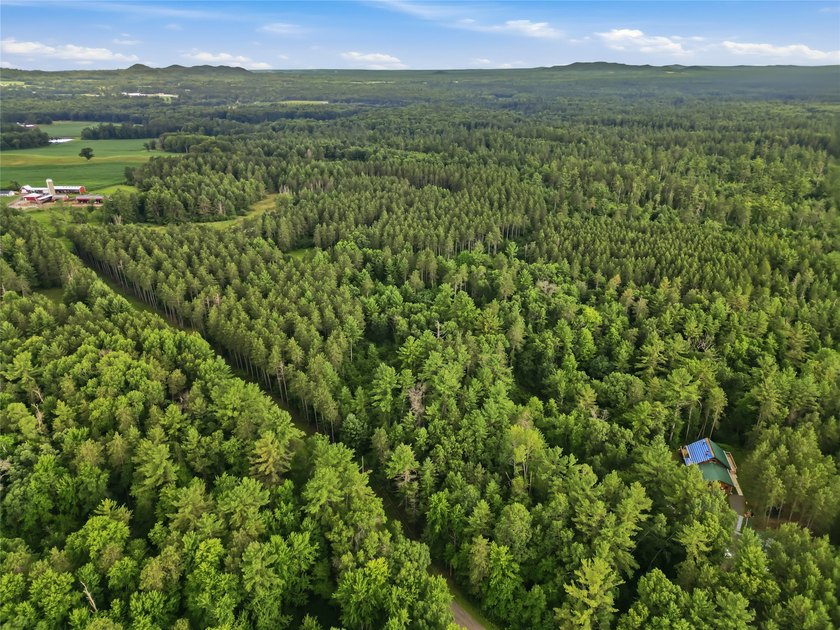 Discover the perfect escape with this incredible 90-acre wooded - photo 37