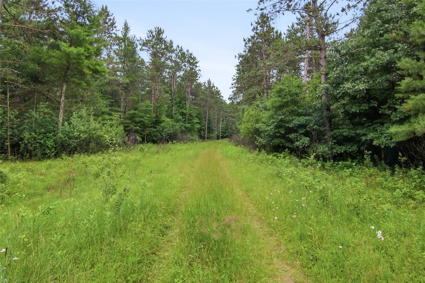 Discover the perfect escape with this incredible 90-acre wooded - photo 38