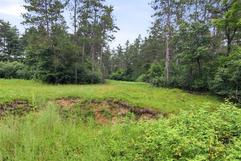 Discover the perfect escape with this incredible 90-acre wooded - photo 40