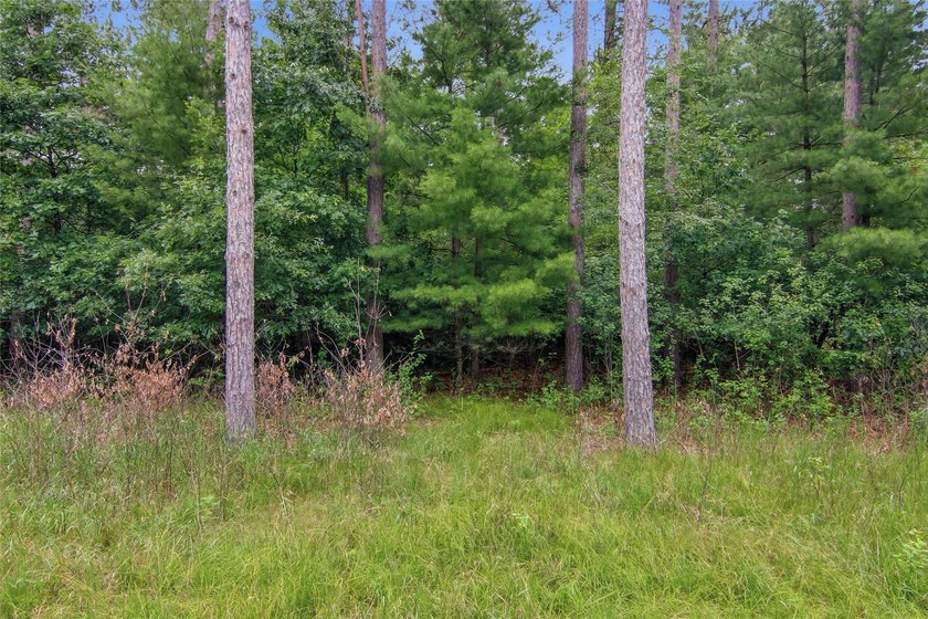 Discover the perfect escape with this incredible 90-acre wooded - photo 41