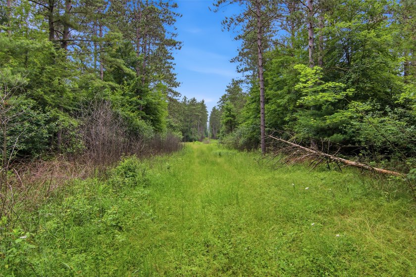 Discover the perfect escape with this incredible 90-acre wooded - photo 42