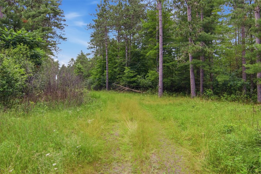 Discover the perfect escape with this incredible 90-acre wooded - photo 43