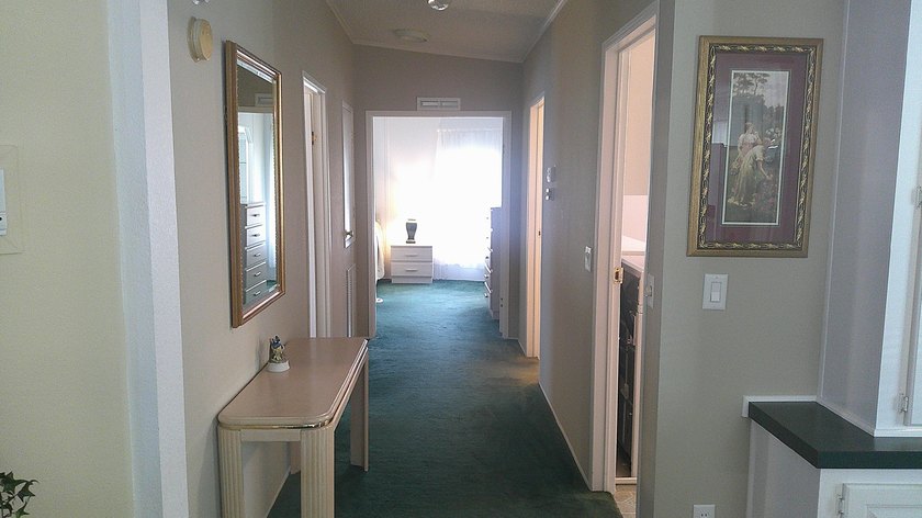 33220 Sand Dune Lane is is located in beautiful Lake Griffin - photo 9