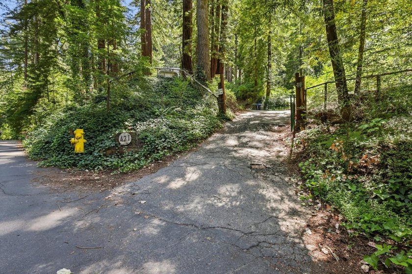 Experience the perfect blend of serenity, privacy, and modern - photo 25