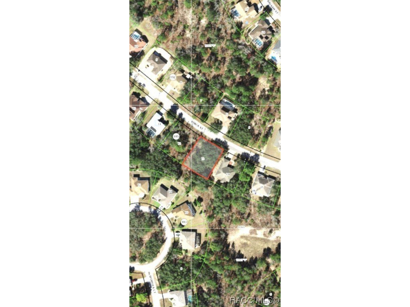 Premium home site in Oak Village at Sugarmill Woods. Lot 13 - photo 3