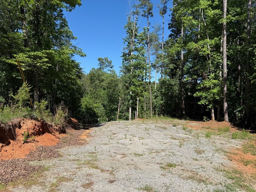 UN-RESTRICTED LOT on the Chattahoochee River!! Build your dream - photo 2
