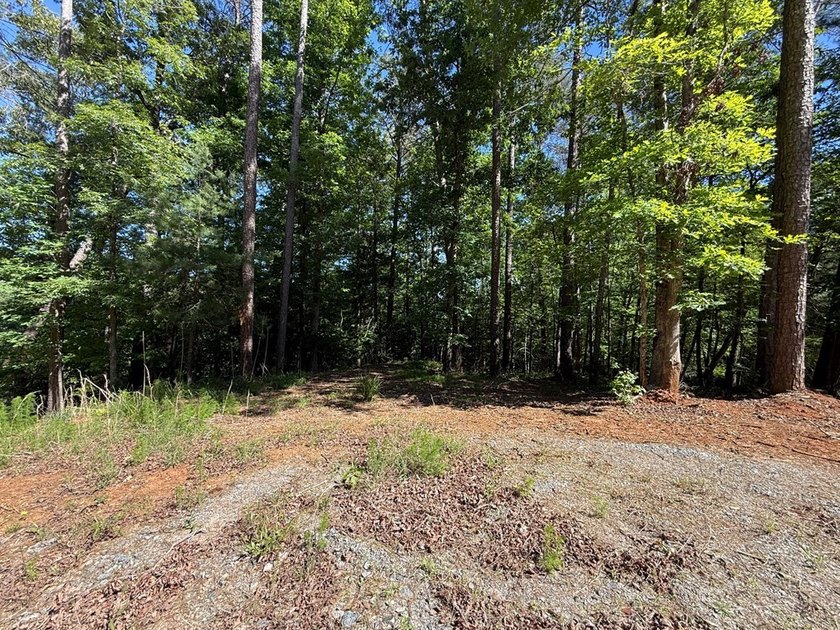 UN-RESTRICTED LOT on the Chattahoochee River!! Build your dream - photo 4