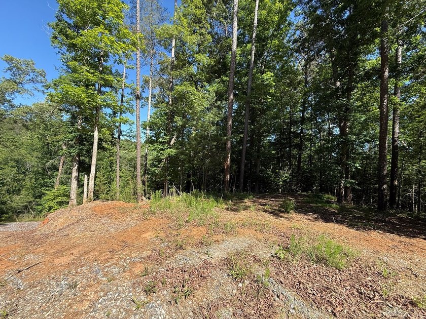 UN-RESTRICTED LOT on the Chattahoochee River!! Build your dream - photo 5