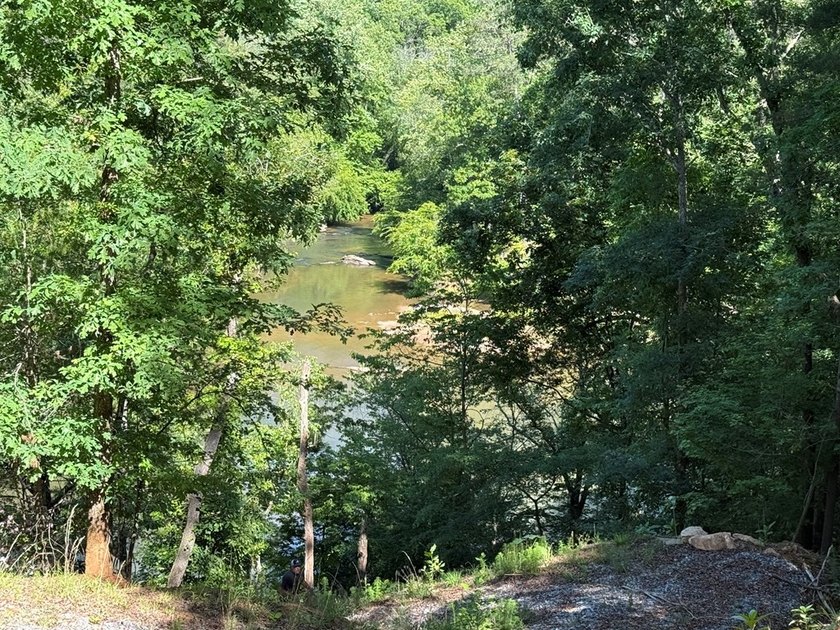 UN-RESTRICTED LOT on the Chattahoochee River!! Build your dream - photo 7