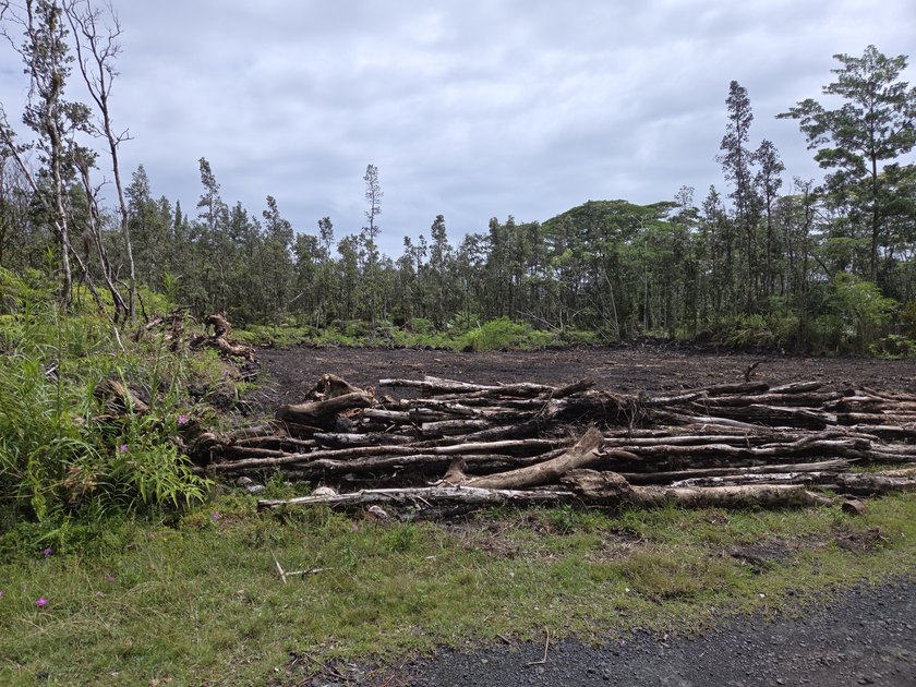 These two SxS lots have been cleared and are ready for your - photo 3