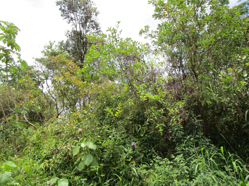 Well priced lot located on a paved road for easy access. Nice - photo 3