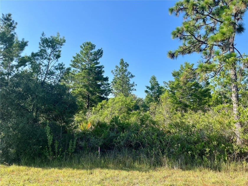 Country living at its finest on this half acre lot in this gated - photo 3