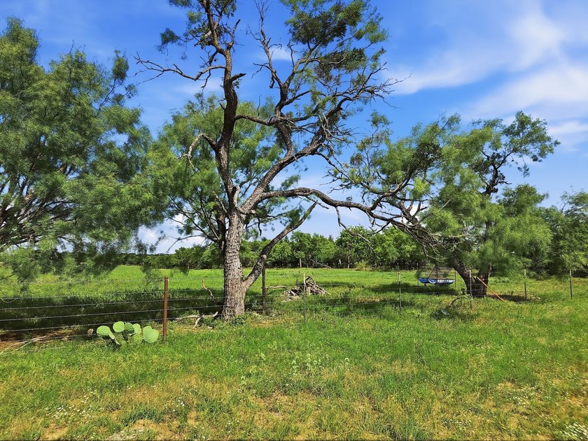 148.43 Acres with Rock Home &amp; Simm Creek Frontage - Lampasas - photo 22