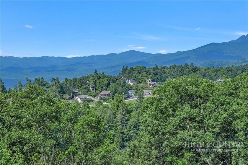 Experience elegant mountain living in this warm and inviting - photo 48